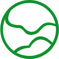 Website Icon